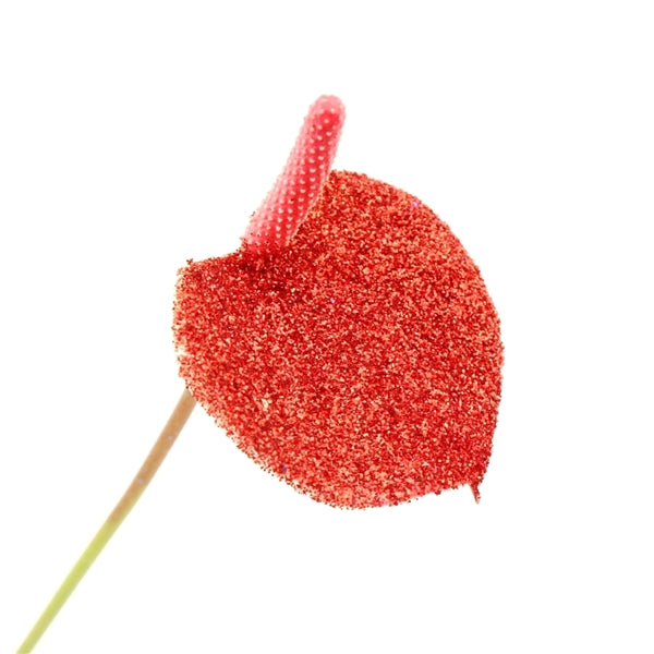 Anthurium Picasso Red Glitter