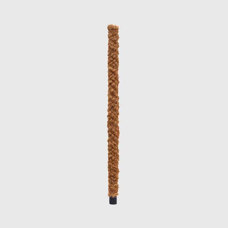 Moss Pole 100cm