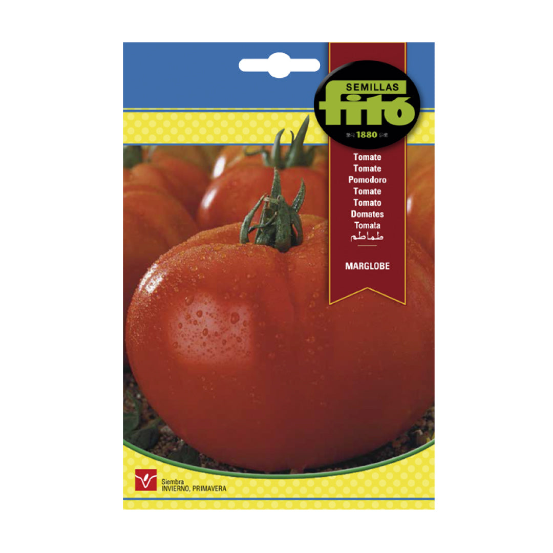 Tomato Seeds (Marglobe)