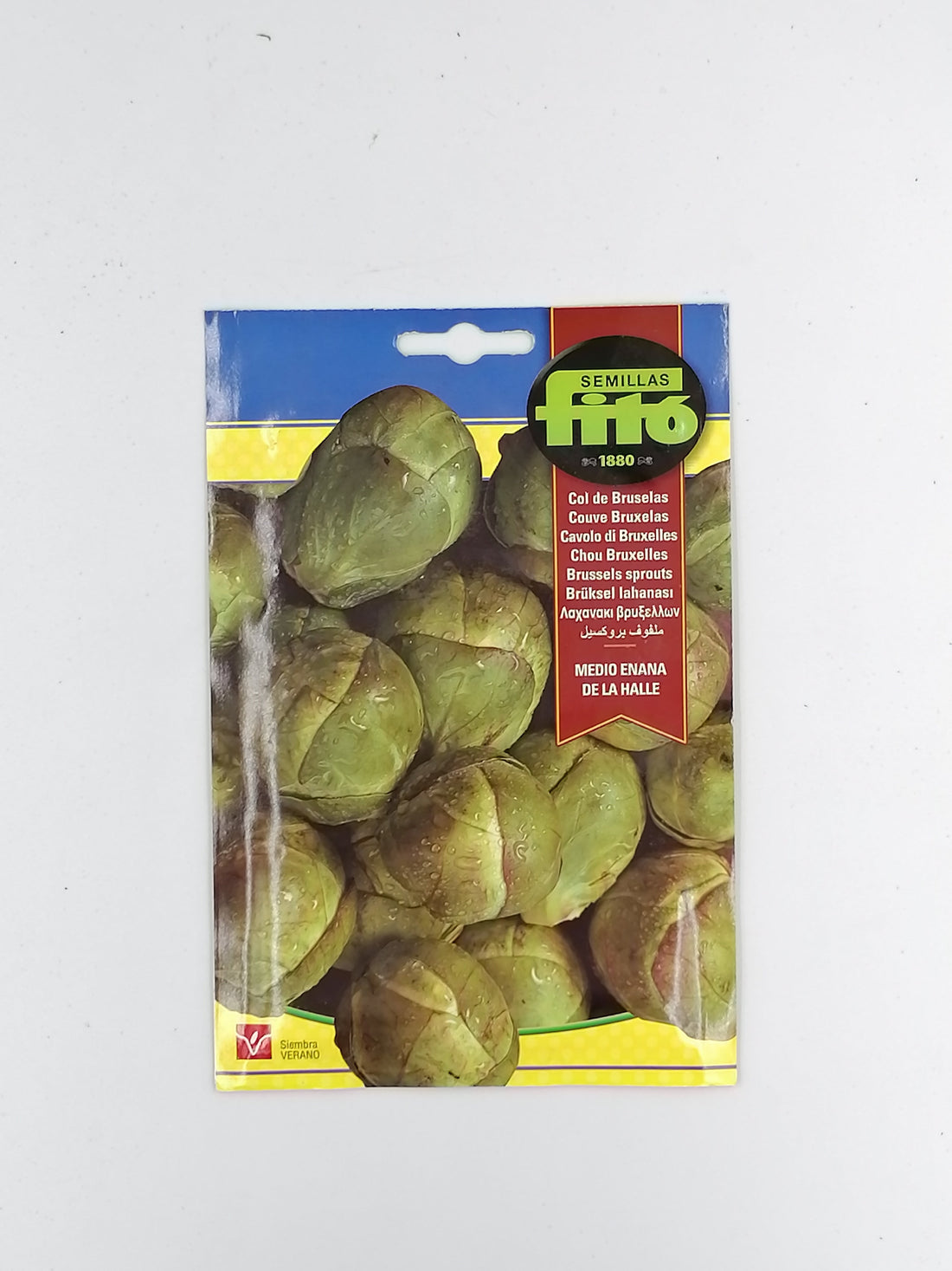 Brussel Sprout Seeds