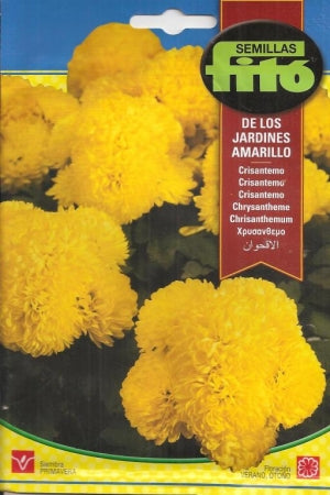 Chrysanthemum (De los Jardines Amarillo)