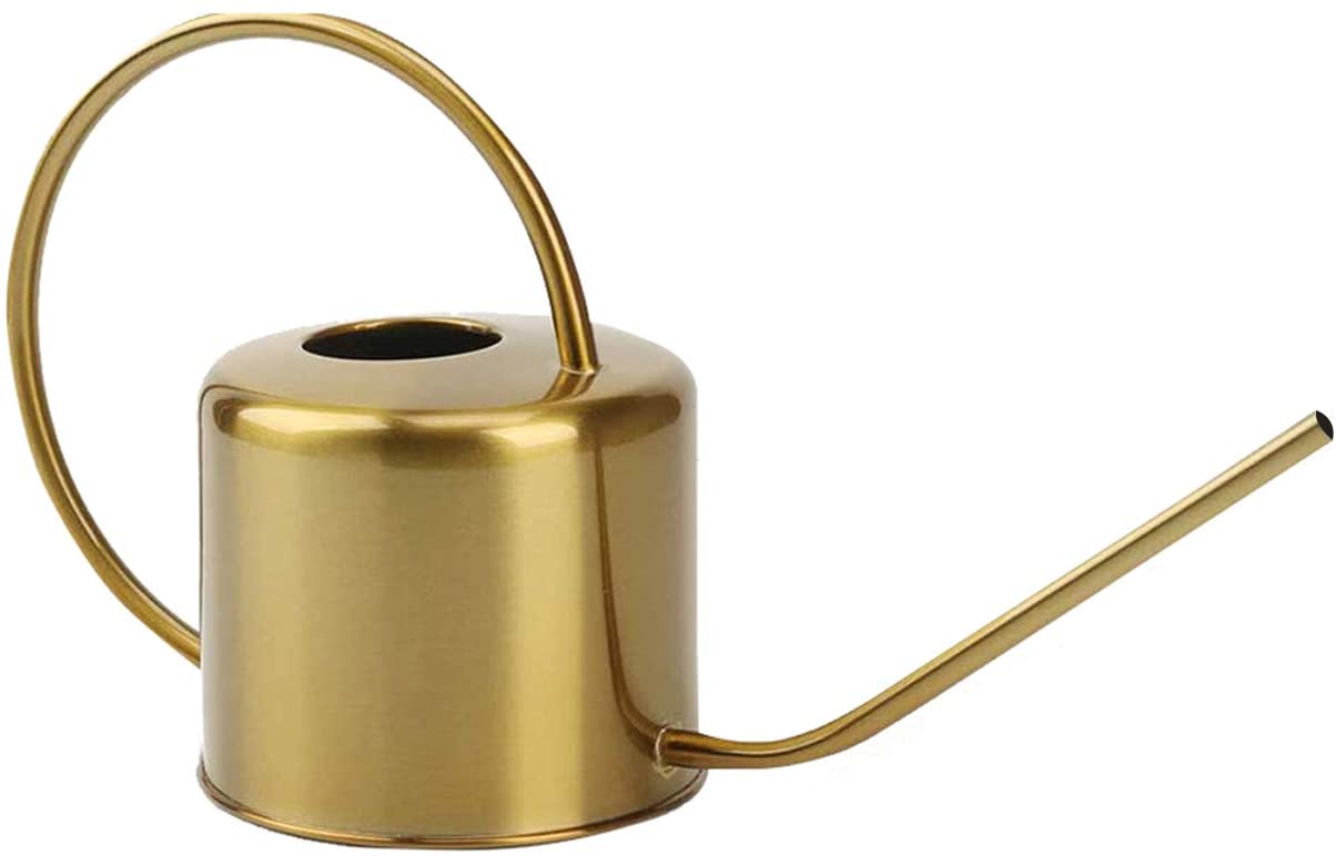 Stainless Steel Watering Can 1.3L (Gold)