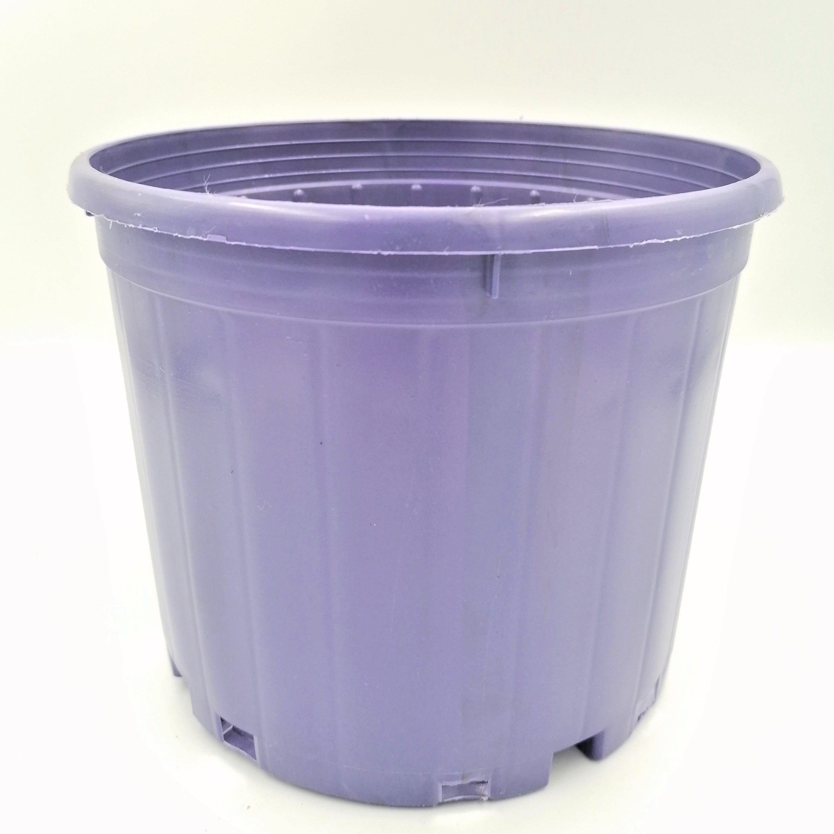 Plastic Purple Pot (15cm)