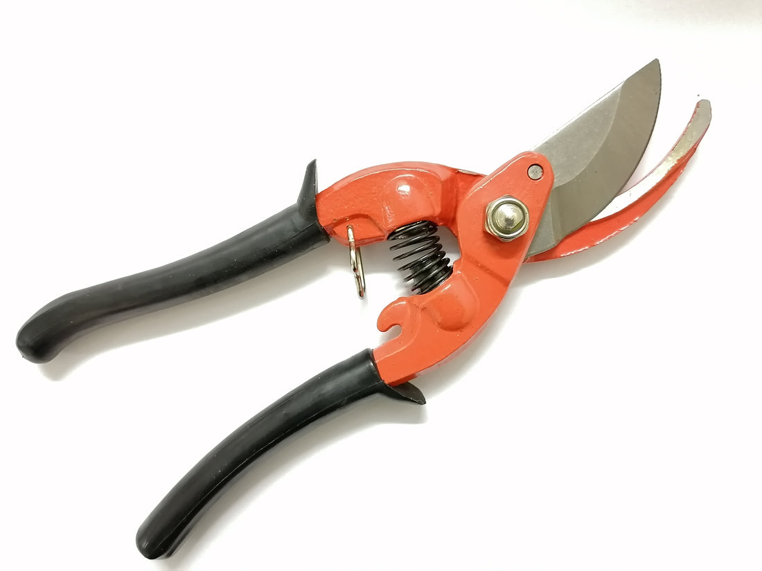 Pruner (Pro Forged) 9&quot;