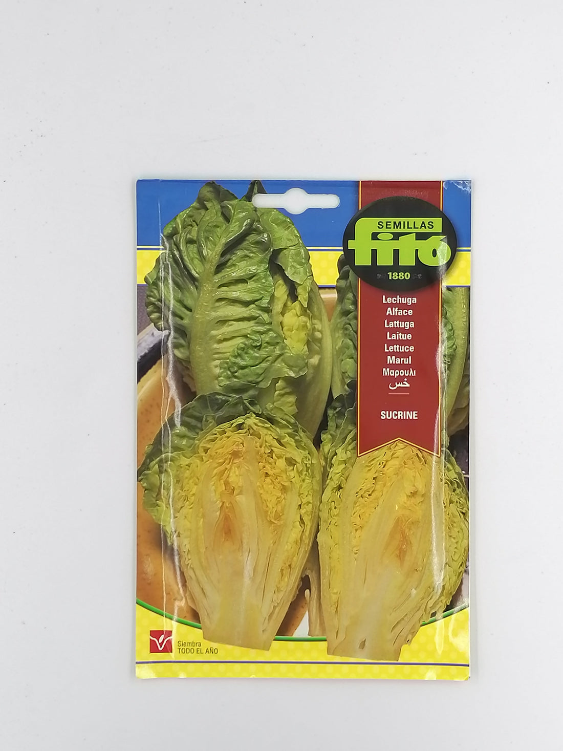 Lettuce Seeds (Sucrine)